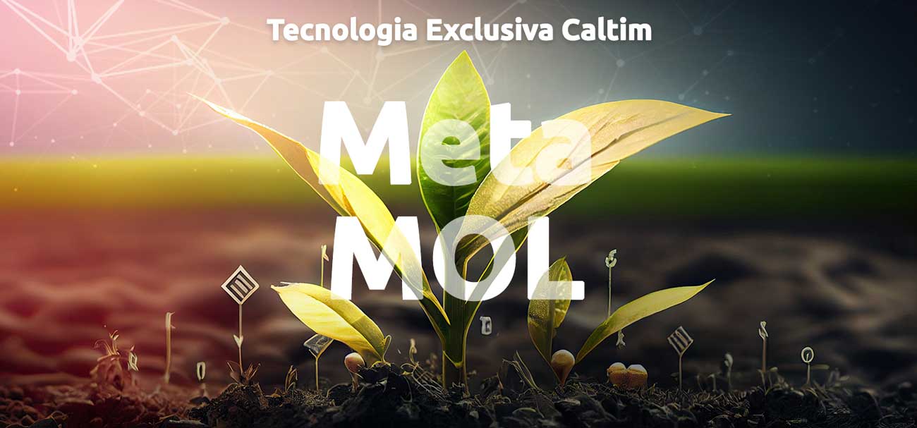 metamol
