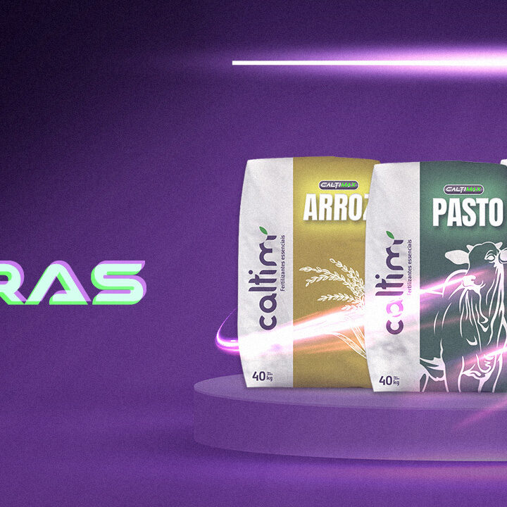 banner-caltim-lançamento