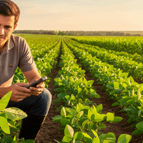 3151_16_Conteúdo para blog_ Banner 1920x475px