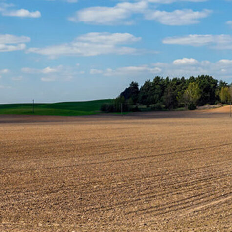 3445_1_caltim_CAPA_blog