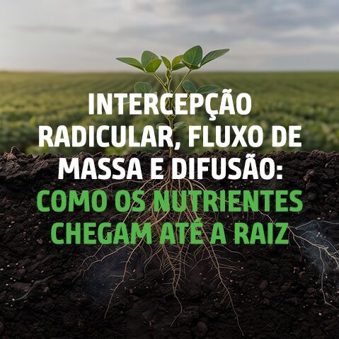 3480_2_CAPA_BLOG