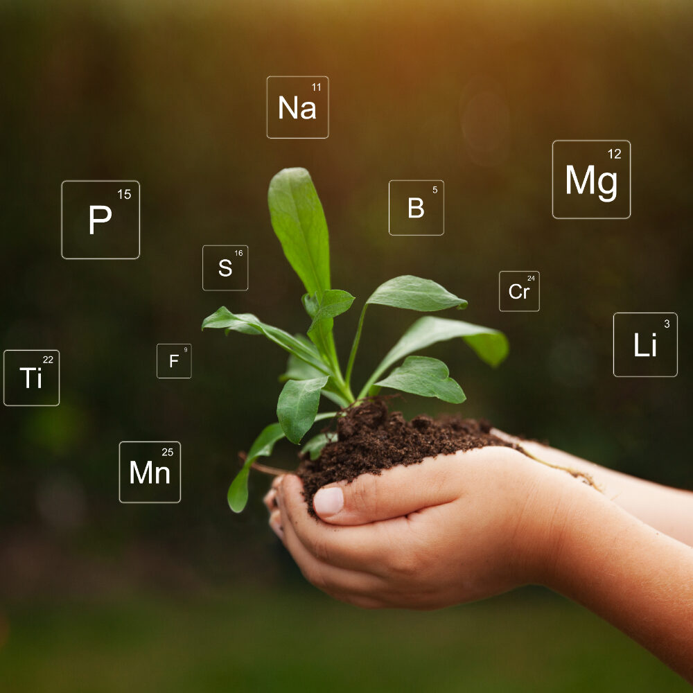 Macro-Micronutrientes-diferenças