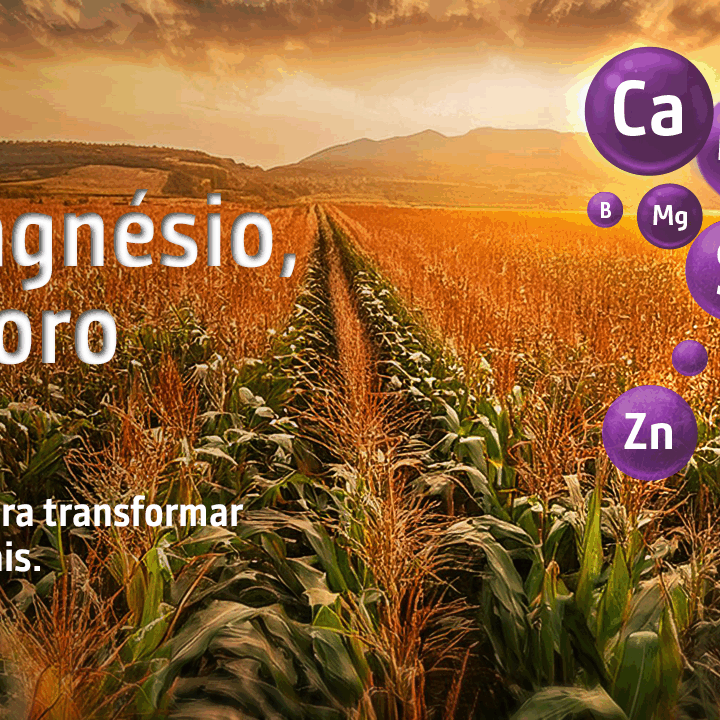 BANNER-CALTIM-NUTRIENTES