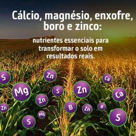 caltim-banner-calcio-magnesio-mobile
