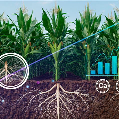 3151.3 CONTEÚDO PARA BLOG -Resultado de pesquisa_ Banner 1920x475px