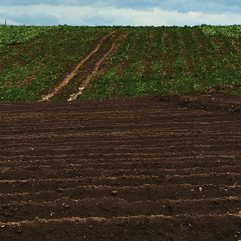 3190.11CONTEÚDO PARA BLOG_ Banner 1920x475px