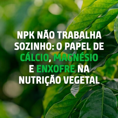3480_12_CAPA_BLOG