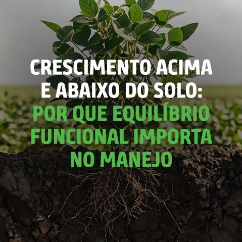 3480_4_CAPA_BLOG