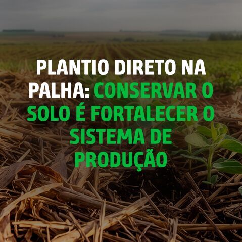 3480_8_CAPA_BLOG